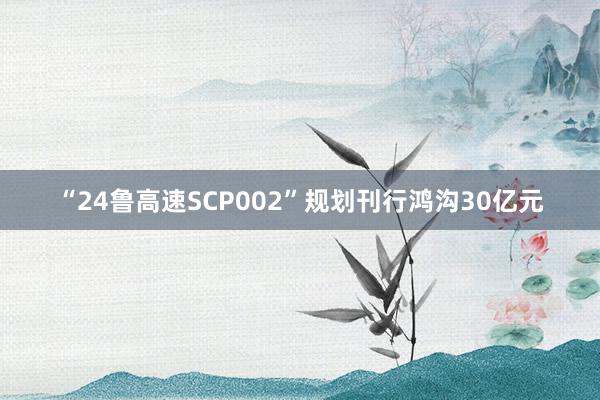 “24鲁高速SCP002”规划刊行鸿沟30亿元